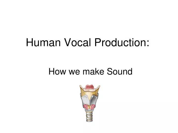 human vocal production