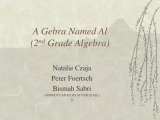 A Gebra Named Al (2 nd Grade Algebra)