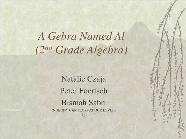 a gebra named al 2 nd grade algebra