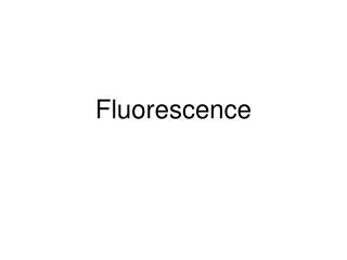 Fluorescence