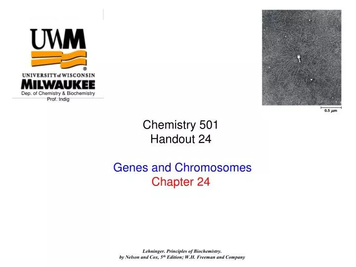 chemistry 501 handout 24 genes and chromosomes chapter 24