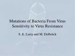 Mutations of Bacteria From Virus Sensitivity to Virus Resistance