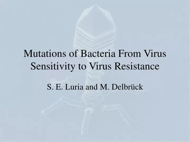 mutations of bacteria from virus sensitivity to virus resistance