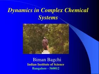 Dynamics in Complex Chemical Systems