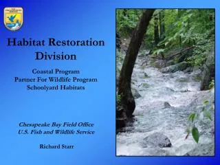 Stream Restoration Approach
