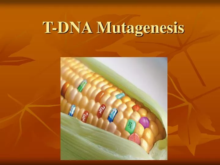 t dna mutagenesis