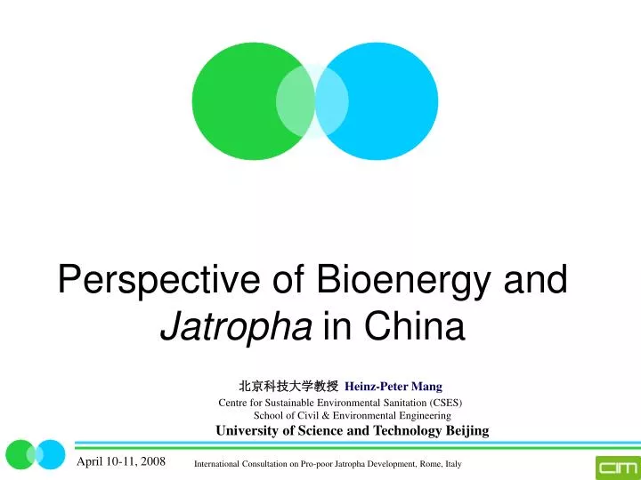 perspective of bioenergy and jatropha in china