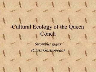 Cultural Ecology of the Queen Conch