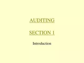 AUDITING SECTION 1