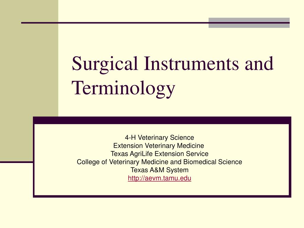 PPT - Surgical Instruments and Terminology PowerPoint Presentation ...