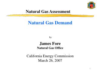 Natural Gas Assessment
