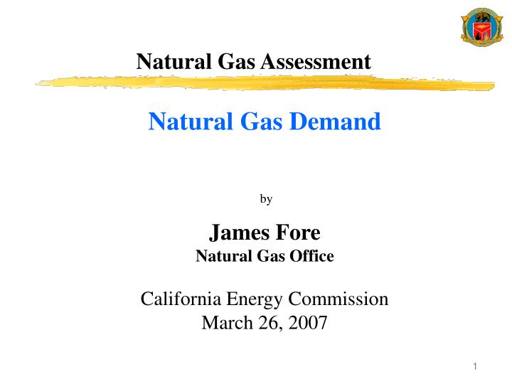 natural gas assessment