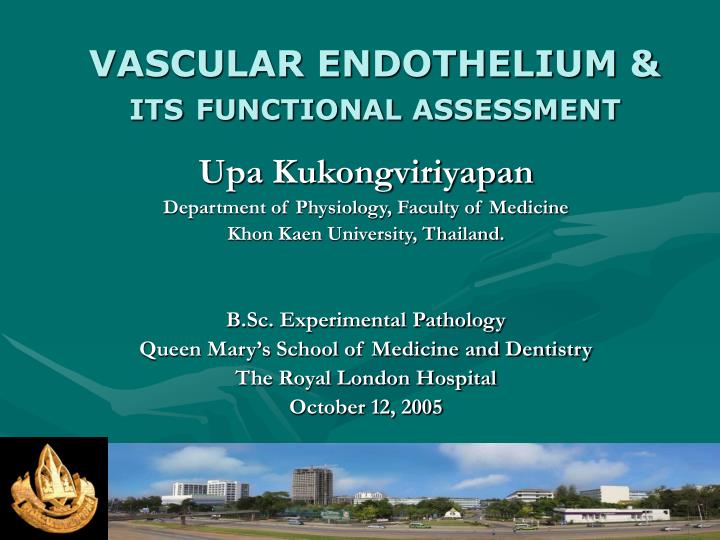 vascular endothelium its functional assessment