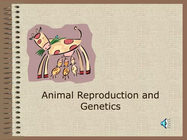 animal reproduction and genetics