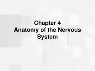 Chapter 4 Anatomy of the Nervous System