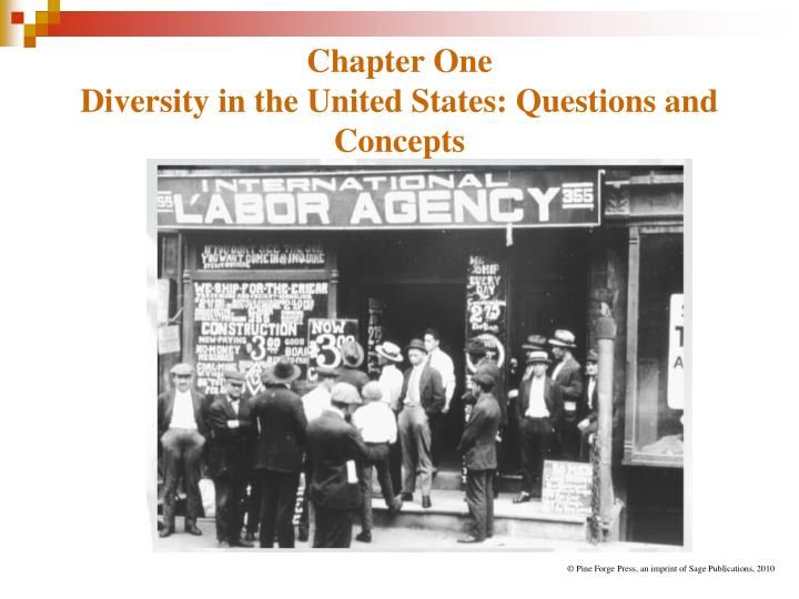 chapter one diversity in the united states questions and concepts