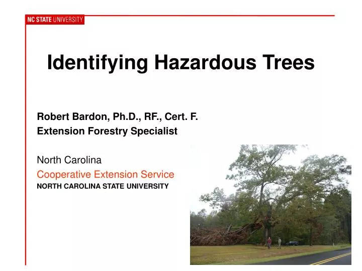 identifying hazardous trees