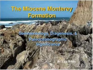 The Miocene Monterey Formation