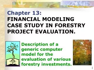 Chapter 13: FINANCIAL MODELING CASE STUDY IN FORESTRY PROJECT EVALUATION.
