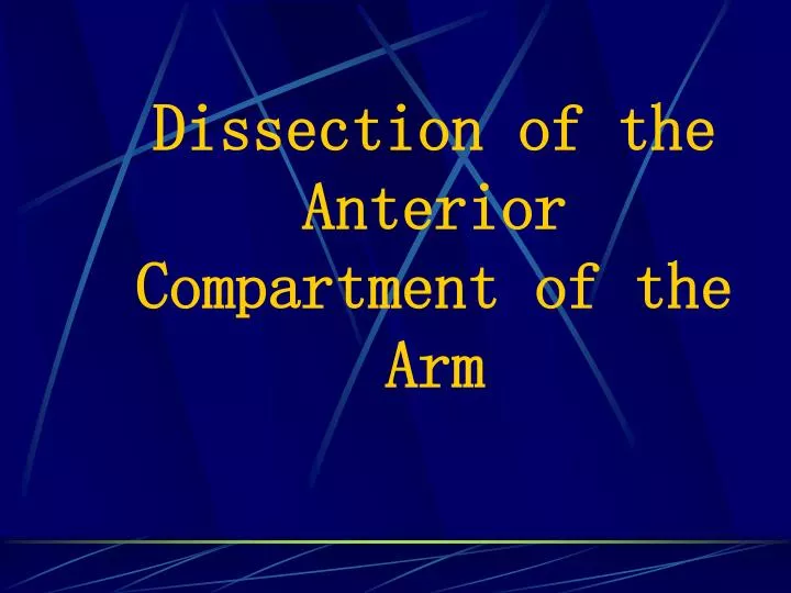 dissection of the anterior compartment of the arm
