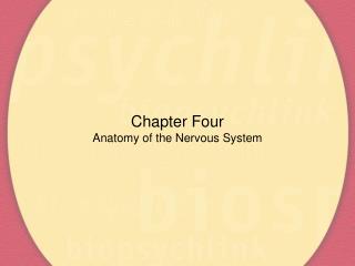 Chapter Four Anatomy of the Nervous System