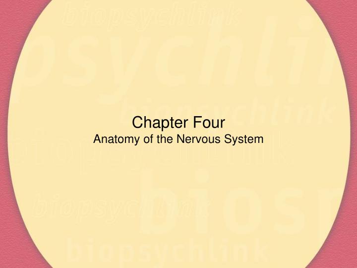 chapter four anatomy of the nervous system