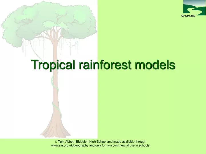 tropical rainforest models