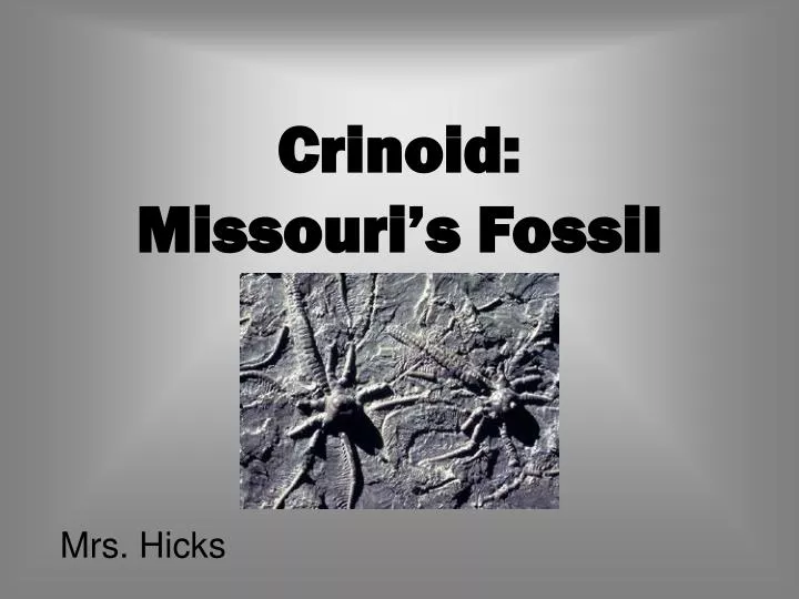 crinoid missouri s fossil
