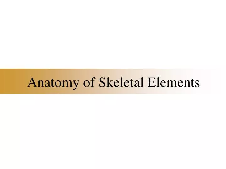 anatomy of skeletal elements