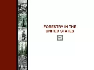 FORESTRY IN THE UNITED STATES