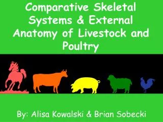 Comparative Skeletal Systems &amp; External Anatomy of Livestock and Poultry