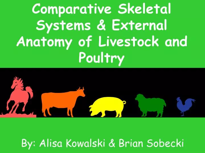 comparative skeletal systems external anatomy of livestock and poultry