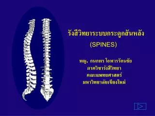 spines