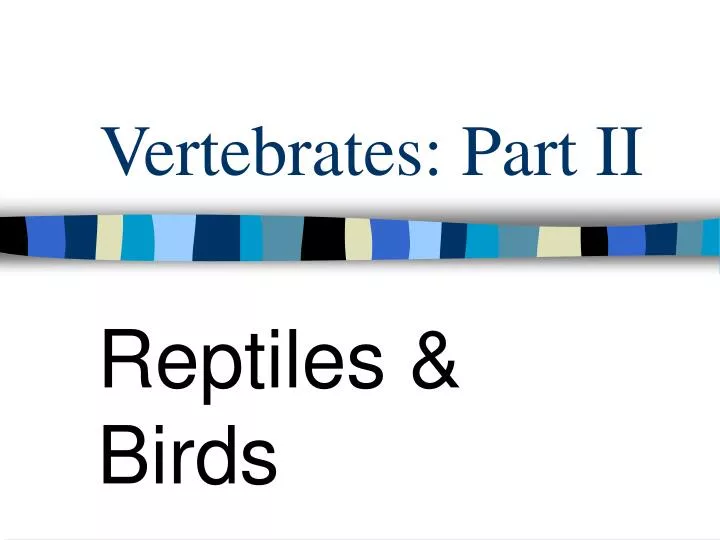 vertebrates part ii
