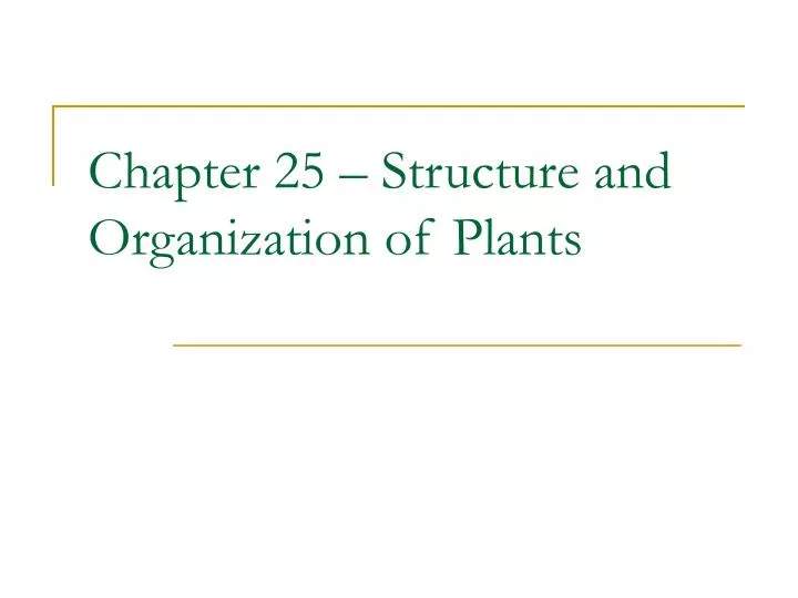 chapter 25 structure and organization of plants