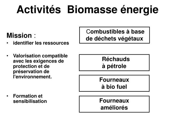activit s biomasse nergie