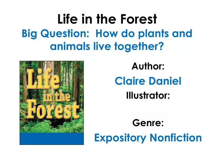 life in the forest big question how do plants and animals live together