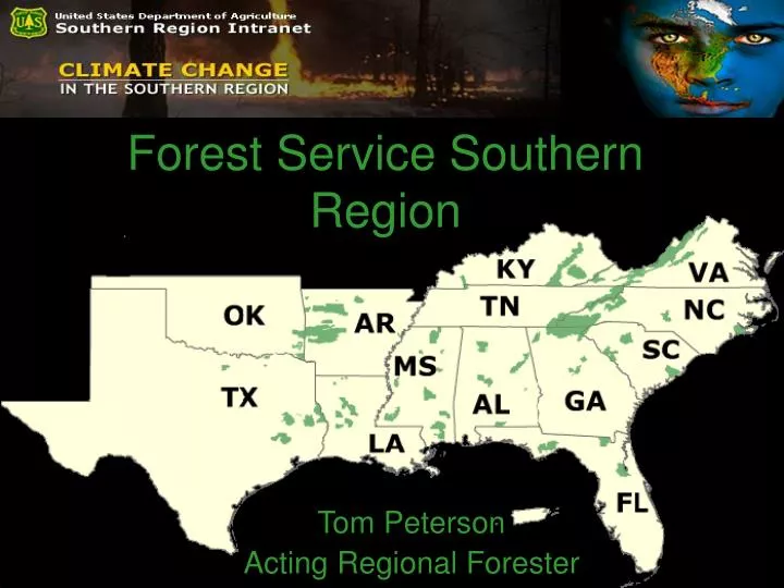 forest service southern region