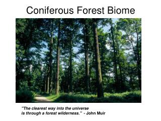 Coniferous Forest Biome