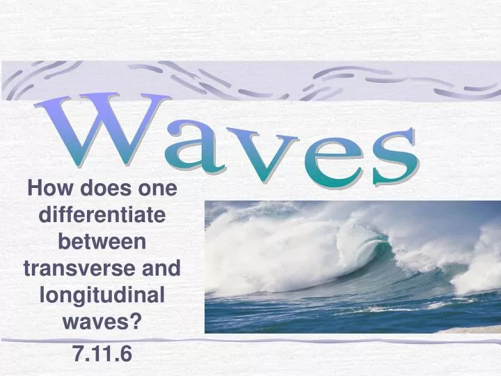 how does one differentiate between transverse and longitudinal waves 7 11 6