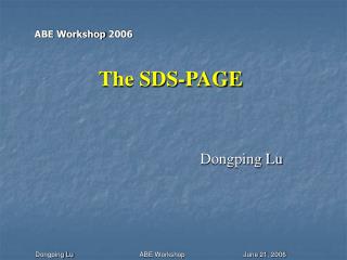 The SDS-PAGE