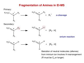 Fragmentation of Amines in EI-MS