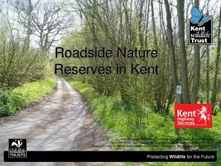 Roadside Nature Reserves in Kent
