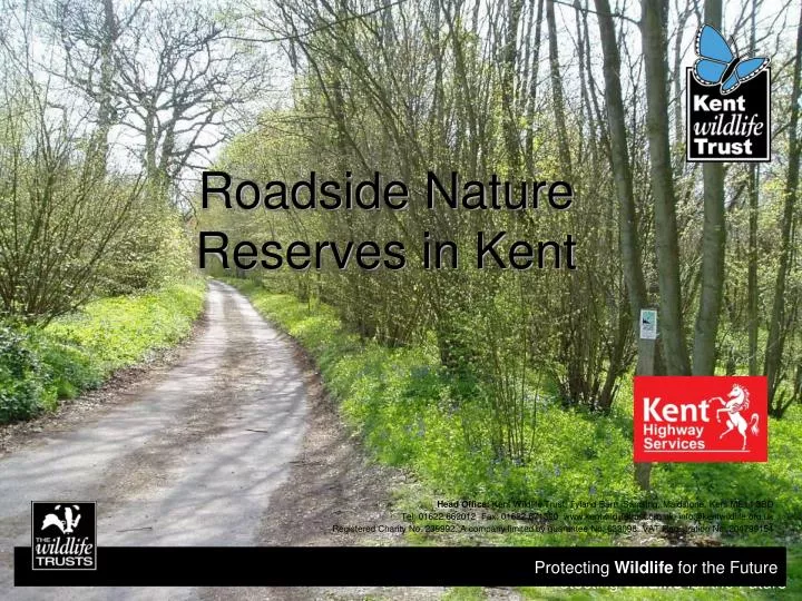 roadside nature reserves in kent