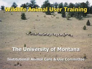 Wildlife Animal User Training