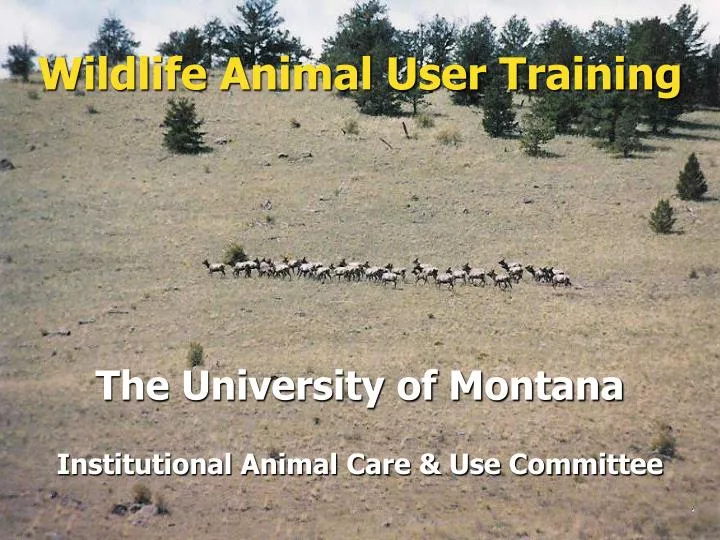 wildlife animal user training