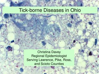 Christina Davey Regional Epidemiologist Serving Lawrence, Pike, Ross, and Scioto Counties
