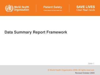 Data Summary Report Framework