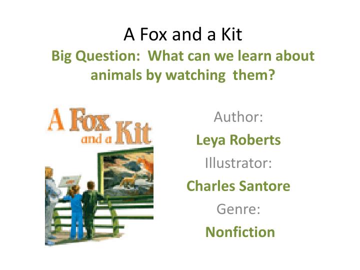 a fox and a kit big question what can we learn about animals by watching them