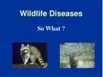 Wildlife Diseases - slide 1
